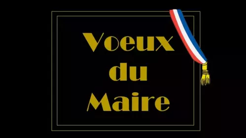 Cérémonie des voeux du maire